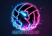 Driven Dragons Volleyball Acdademy Logo